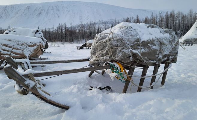 Таяние сибирской вечной мерзлоты может оказаться опаснее чумы, предупреждают учёные