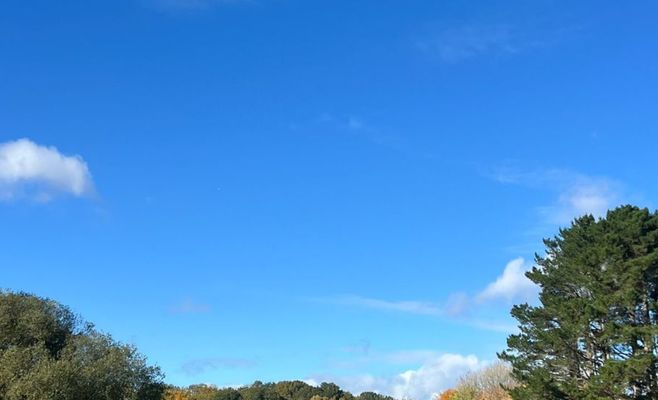 What a Judge's 24-Hour Order Means for East Potomac Golf Course Trees