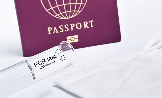Финляндия предложила запретить выдачу туристических виз россиянам во всём ЕС