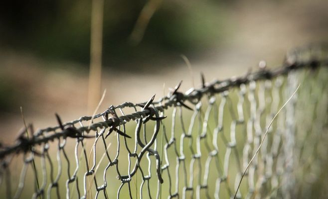 В Латвию проникла агрессивная группа «Чёрные русские»: что известно