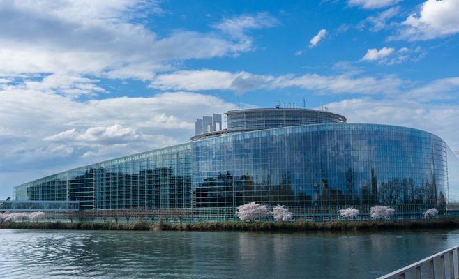 Ле Пен назвала Бабиша важным союзником в Евросоюзе