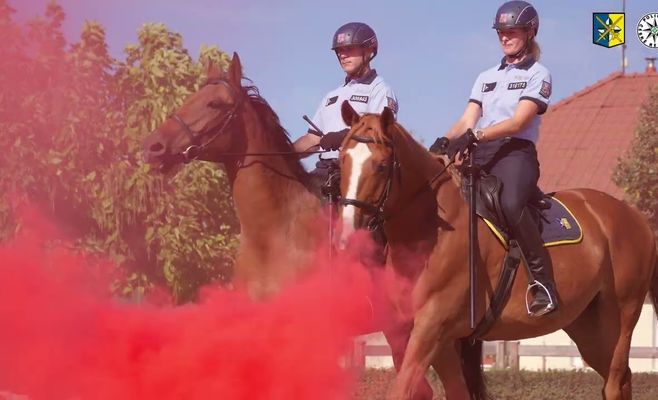 Конная полиция Злина отмечает 33-летие: в отряде уже девять лошадей
