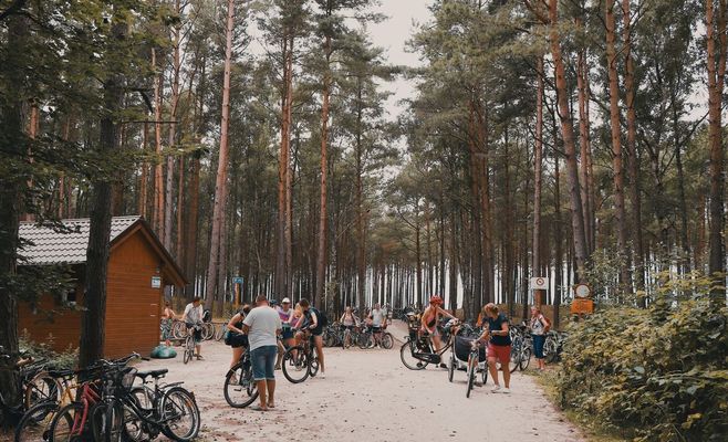 У лісі Борі-лес знайшли понад 70 тисяч одиниць боєприпасів