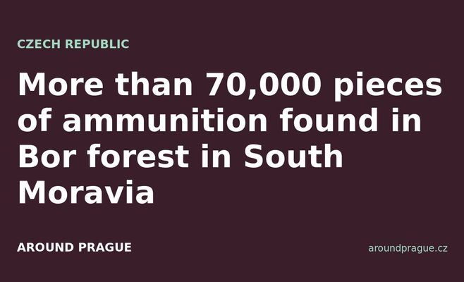More than 70,000 pieces of ammunition found in Bor forest in South Moravia