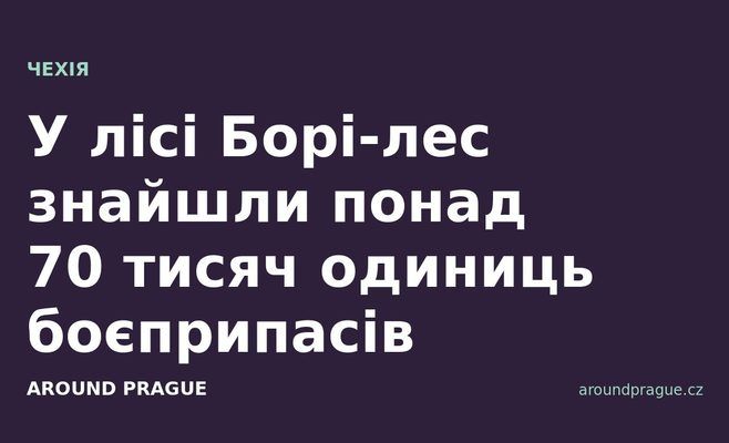 У лісі Борі-лес знайшли понад 70 тисяч одиниць боєприпасів