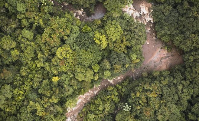 Brazil Reports Lowest Amazon Deforestation on Record Days Before Runoff