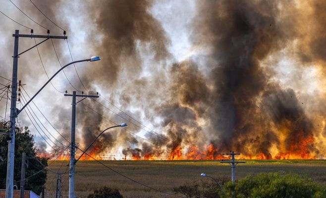Wind-Driven Norte Fire Destroys Coastal Homes and Forces 16,000 to Evacuate