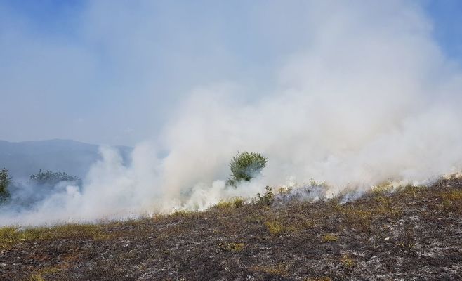Fire at Alberta's CFB Wainwright Military Base Leaves Dead and Injured