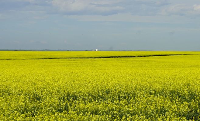 Alberta Votes on a Path to Independence: The Numbers Behind the Referendum