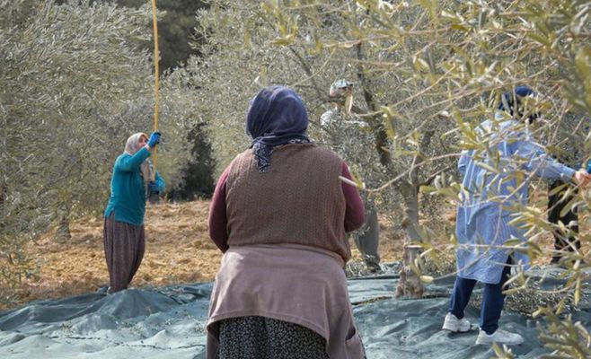 Israel Detains 10 Suspects After Settler Attacks on a US Photographer and Diplomats