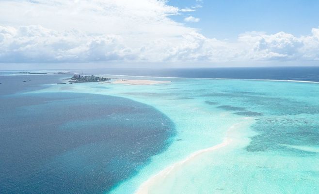 Earhart Expedition Finds Trees, Not a Plane, at Remote Pacific Atoll