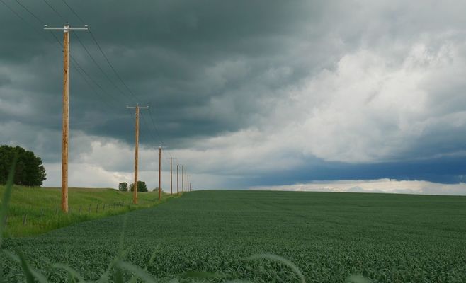 Alberta Votes on Whether to Start a Path Toward Leaving Canada