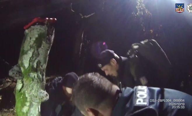 Полиция Чехии нашла пропавшую женщину в лесу: она лежала без сил и с переохлаждением