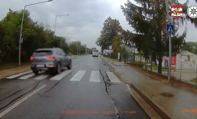 Опасный обгон автобуса перед переходом едва не стоил жизни школьнице