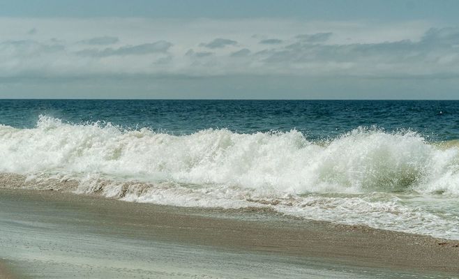 Swimmer, 65, Dies in Shark Attack Off KuGompo City as Two Beaches Close