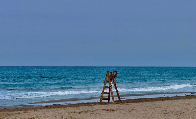 Woman, 65, Killed by Shark Off South Africa's Eastern Cape; Two Beaches Shut