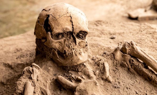 A Cave Fossil in South Africa Suggests Homo Erectus Is 200,000 Years Older