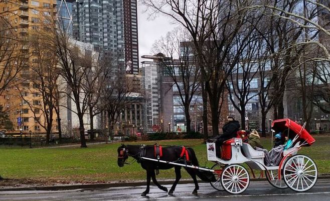 What New York's Planned Horse Carriage Ban Means for Central Park Drivers and Visitors