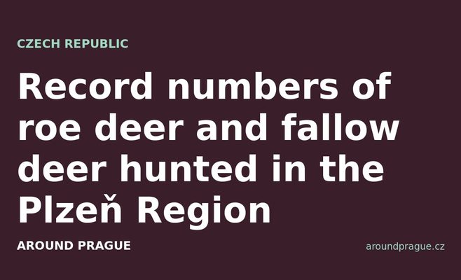 Record numbers of roe deer and fallow deer hunted in the Plzeň Region