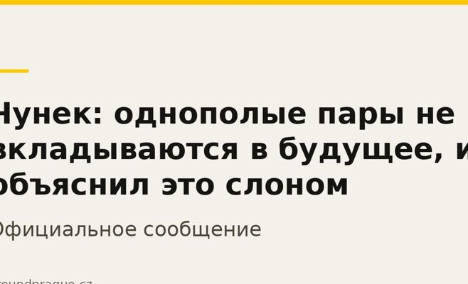 Чунек: однополые пары не вкладываются в будущее, и объяснил это слоном