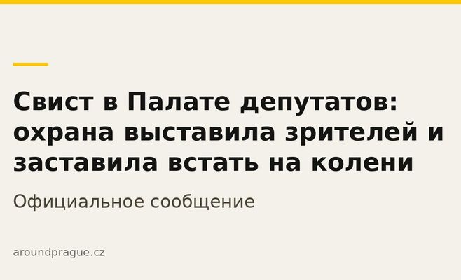 Свист в Палате депутатов: охрана выставила зрителей и заставила встать на колени