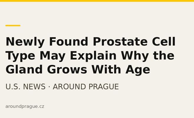 Newly Found Prostate Cell Type May Explain Why the Gland Grows With Age