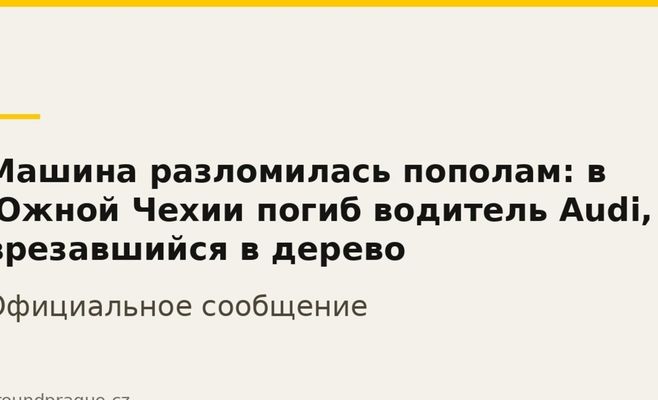 Машина разломилась пополам: в Южной Чехии погиб водитель Audi, врезавшийся в дерево