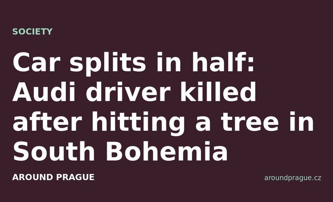 Car splits in half: Audi driver killed after hitting a tree in South Bohemia