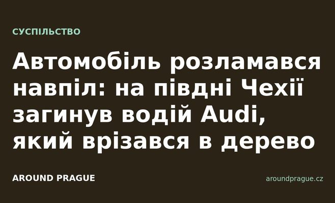 Автомобіль розламався навпіл: на півдні Чехії загинув водій Audi, який врізався в дерево
