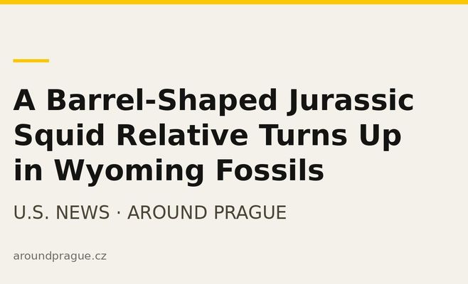 A Barrel-Shaped Jurassic Squid Relative Turns Up in Wyoming Fossils