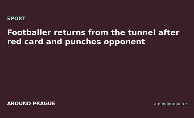 Footballer returns from the tunnel after red card and punches opponent