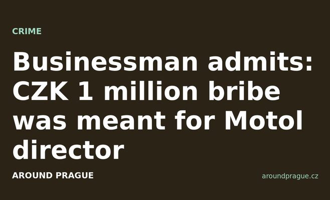 Businessman admits: CZK 1 million bribe was meant for Motol director