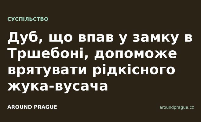 Дуб, що впав у замку в Тршебоні, допоможе врятувати рідкісного жука-вусача