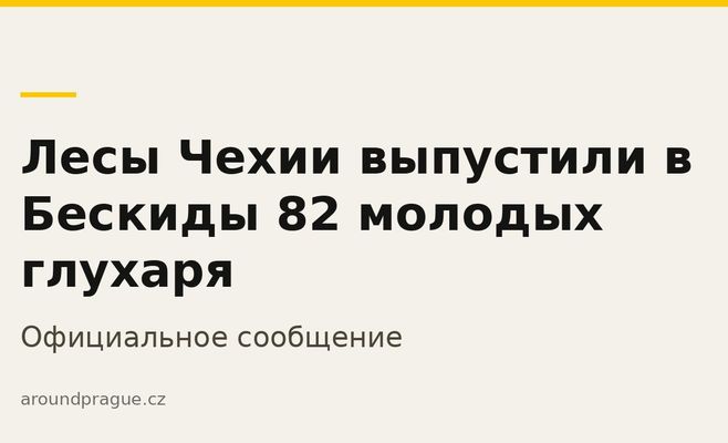 Лесы Чехии выпустили в Бескиды 82 молодых глухаря