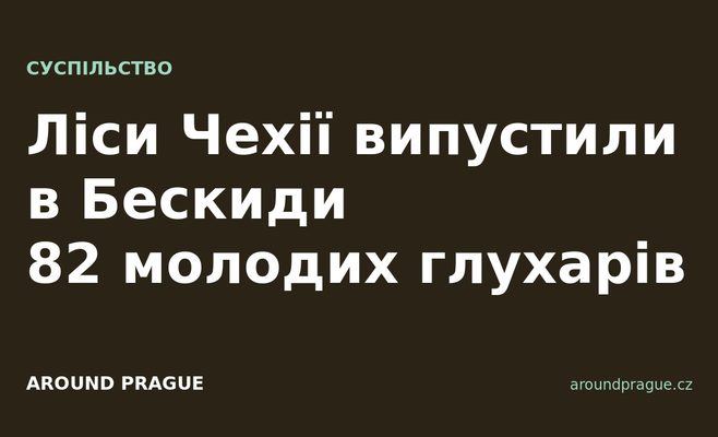 Ліси Чехії випустили в Бескиди 82 молодих глухарів