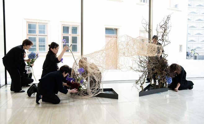 Муха Foundation Art Museum: «Язык цветов» — японская икебана в Праге