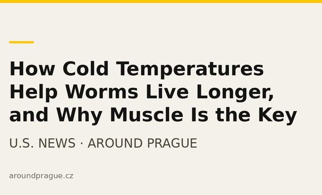 How Cold Temperatures Help Worms Live Longer, and Why Muscle Is the Key