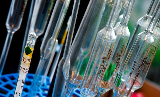 Реєстр Potraviny na pranýři: записи SZPI про закриття в Празі у 2026 році і як перевірити заклад
