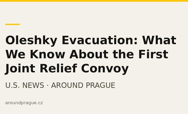 Oleshky Evacuation: What We Know About the First Joint Relief Convoy