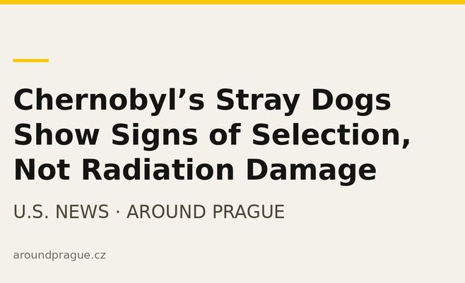 Chernobyl’s Stray Dogs Show Signs of Selection, Not Radiation Damage