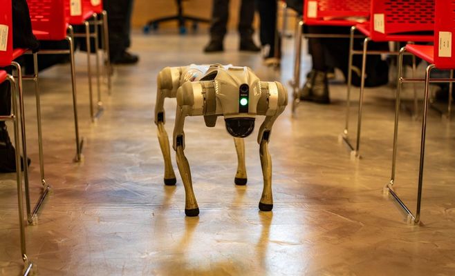 Robot Dog Guided by Lab-Grown Neurons Finds Its Way to a Target on a Map