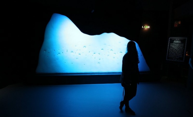 Выставка «Титаник»