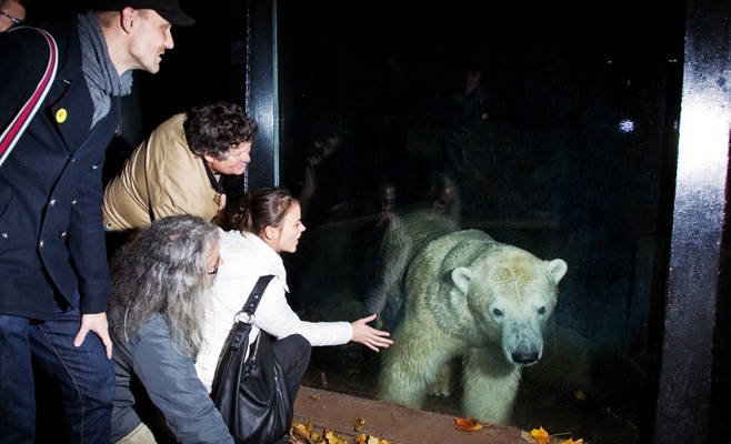 Вечерние экскурсии по Пражскому зоопарку