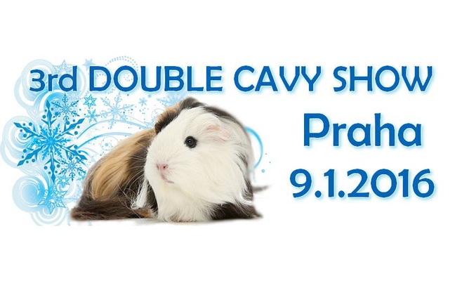 Winter Double Cavy Show 2016