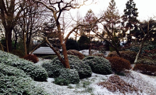 Бесплатное посещение Ботанического сада