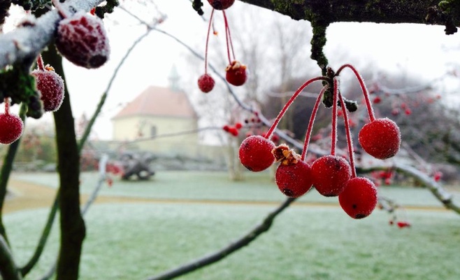 Бесплатное посещение Ботанического сада