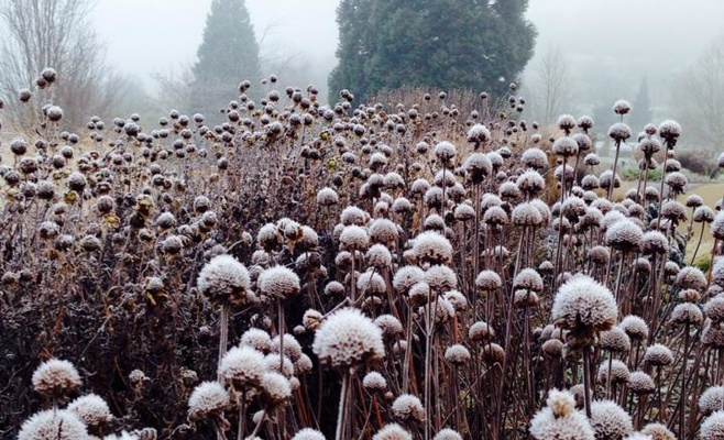Бесплатное посещение Ботанического сада