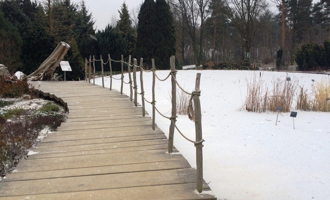 Бесплатное посещение Ботанического сада