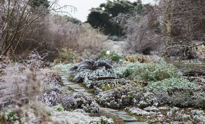 Бесплатное посещение Ботанического сада