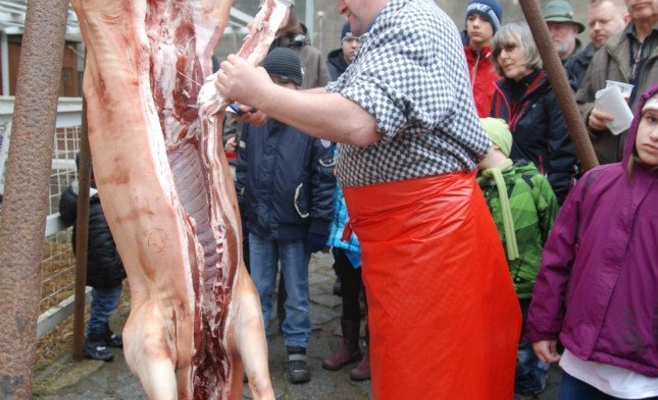 Летенский поросёнок